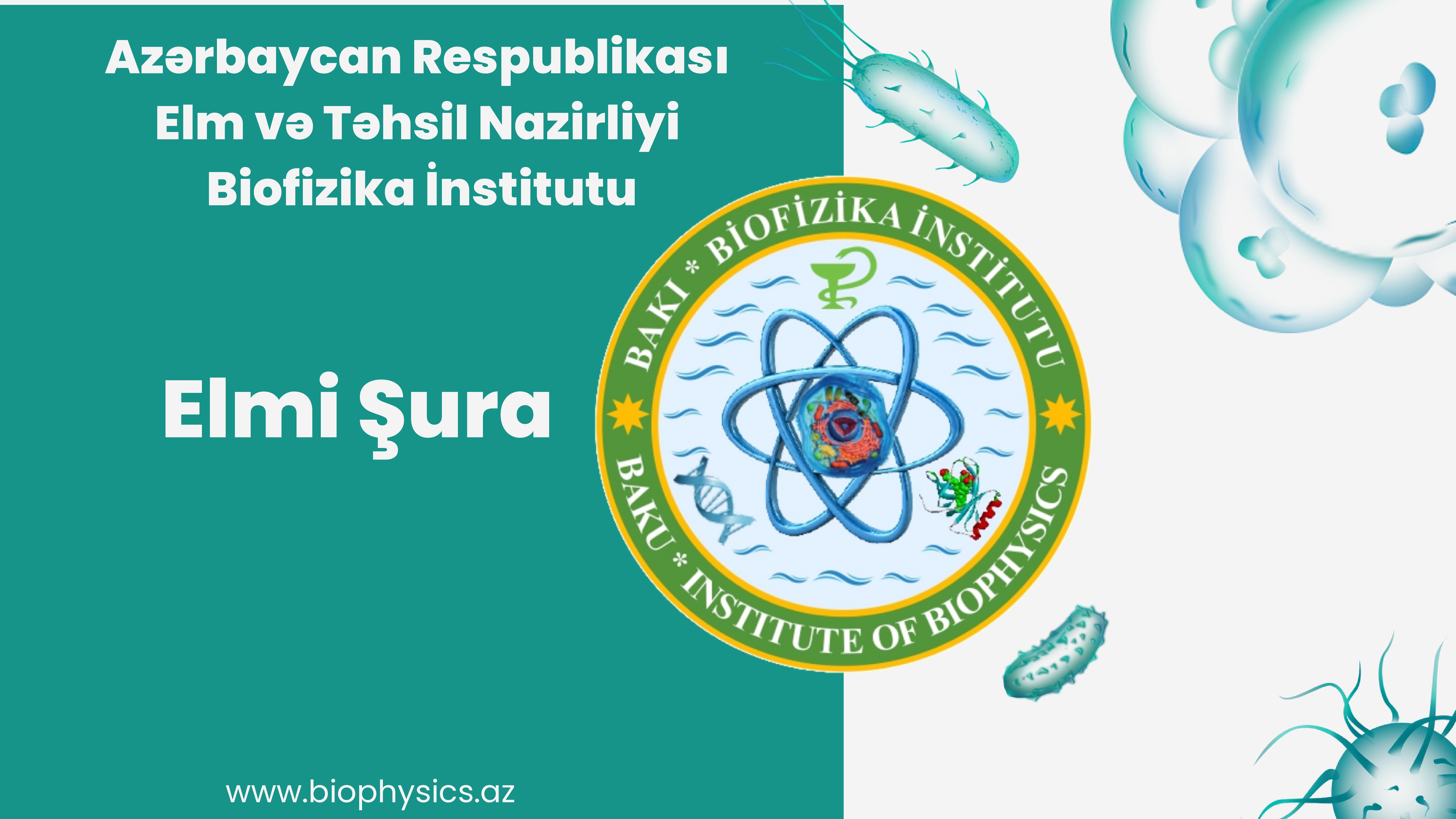 A regular meeting of the Scientific Council will be held at the Biophysics Institute