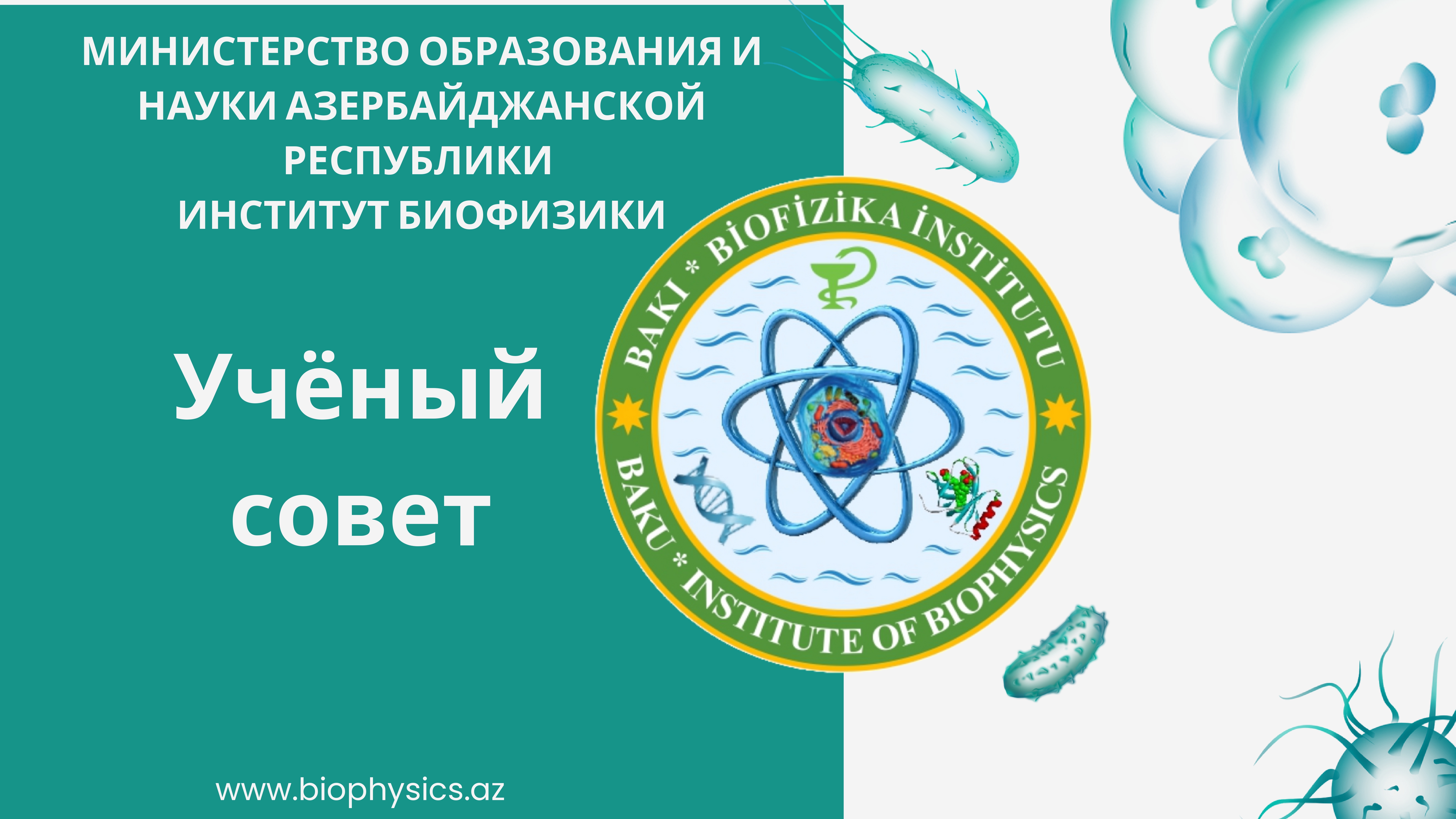 The next meeting of the Scientific Council will be held