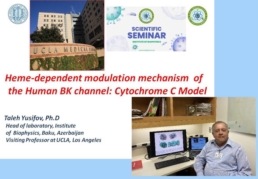 Biofizika İnstitutunun laboratoriya rəhbəri Kaliforniya Universitetində “Dəvətli Professor” qismində ezamiyyətdədir