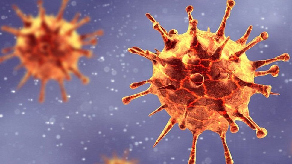 Koronavirusun 6 fərqli növü müəyyən edilib
