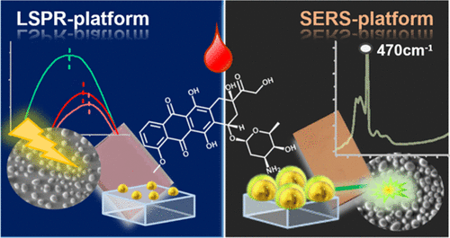 Employees of the Institute of Biophysics, the National Oncology Center and the Italian Institute of Nanotechnology published articles in a prestigious journal in Q1