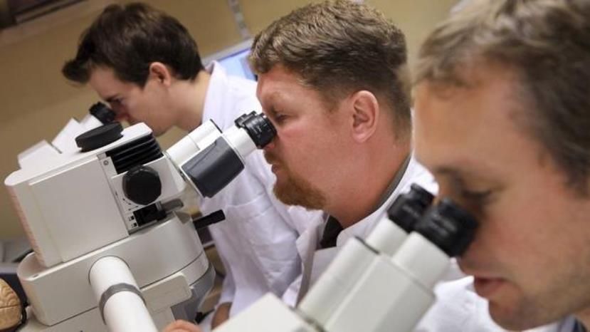 Ученые России и Болгарии увеличат точность оптической диагностики рака кожи